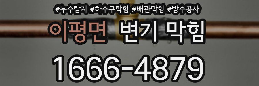 이평면 변기 막힘