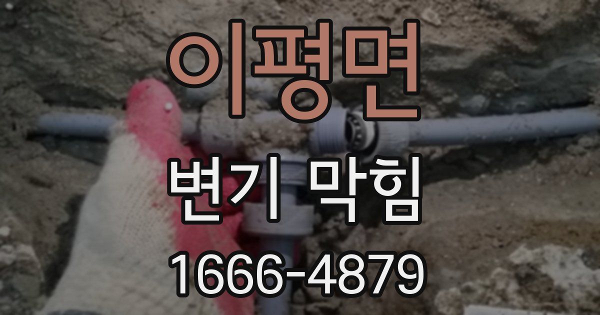 이평면 변기 막힘