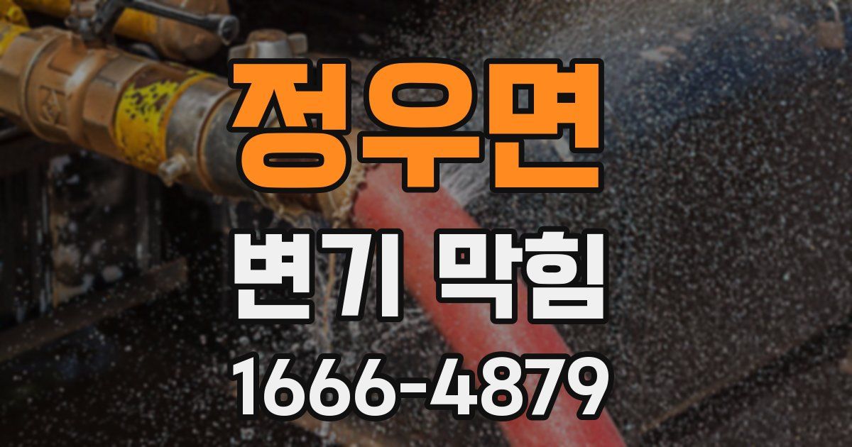 정우면 변기 막힘