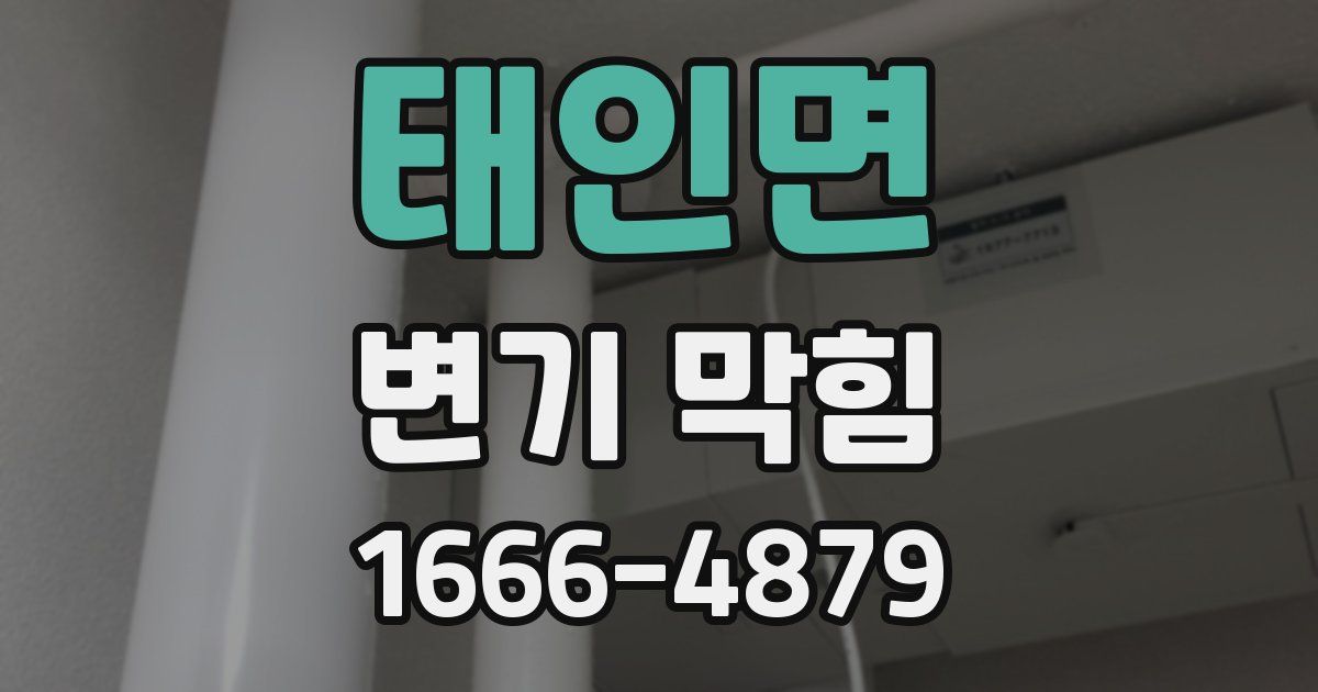 태인면 변기 막힘