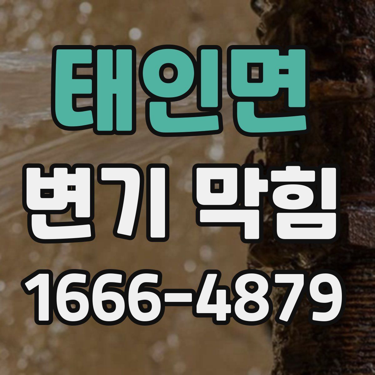 태인면 변기 막힘