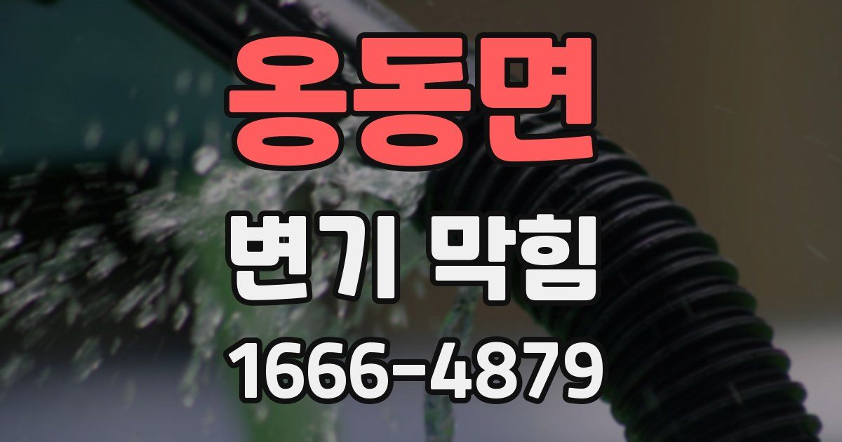 옹동면 변기 막힘