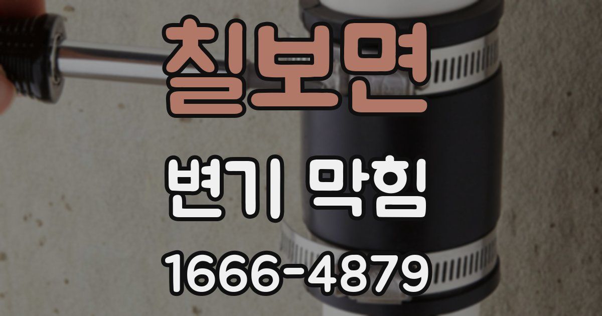칠보면 변기 막힘