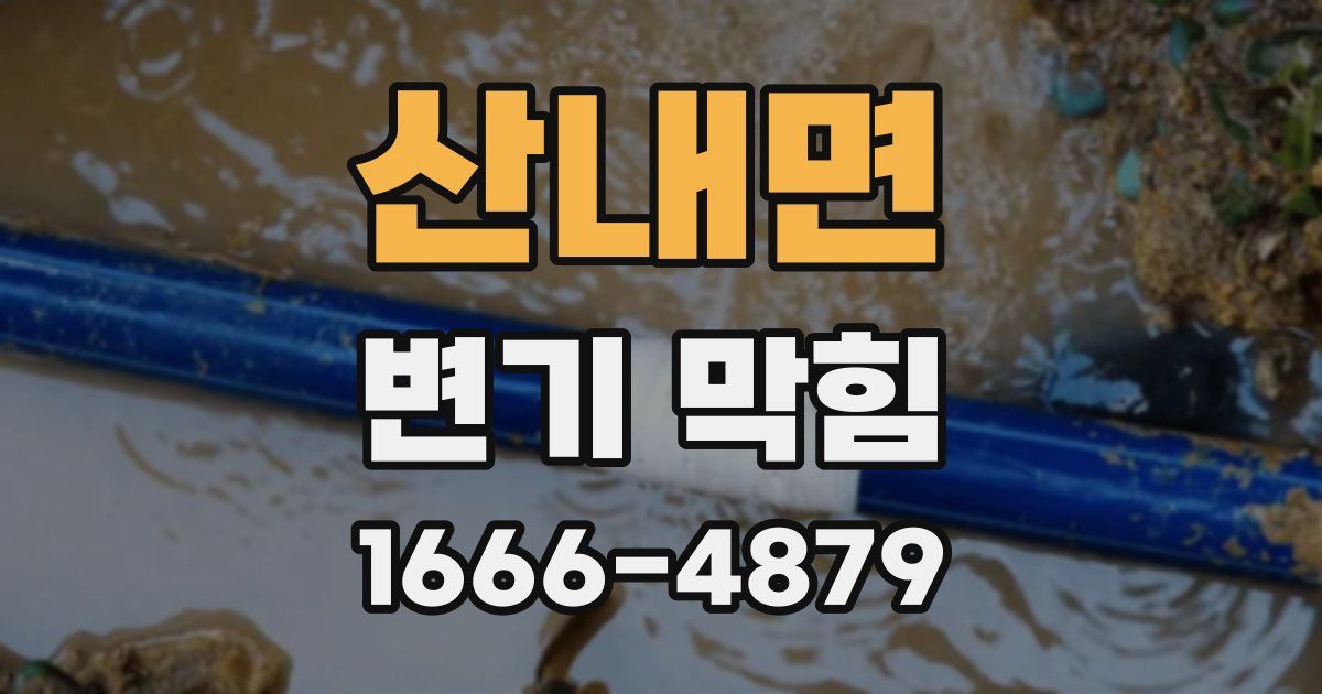산내면 변기 막힘