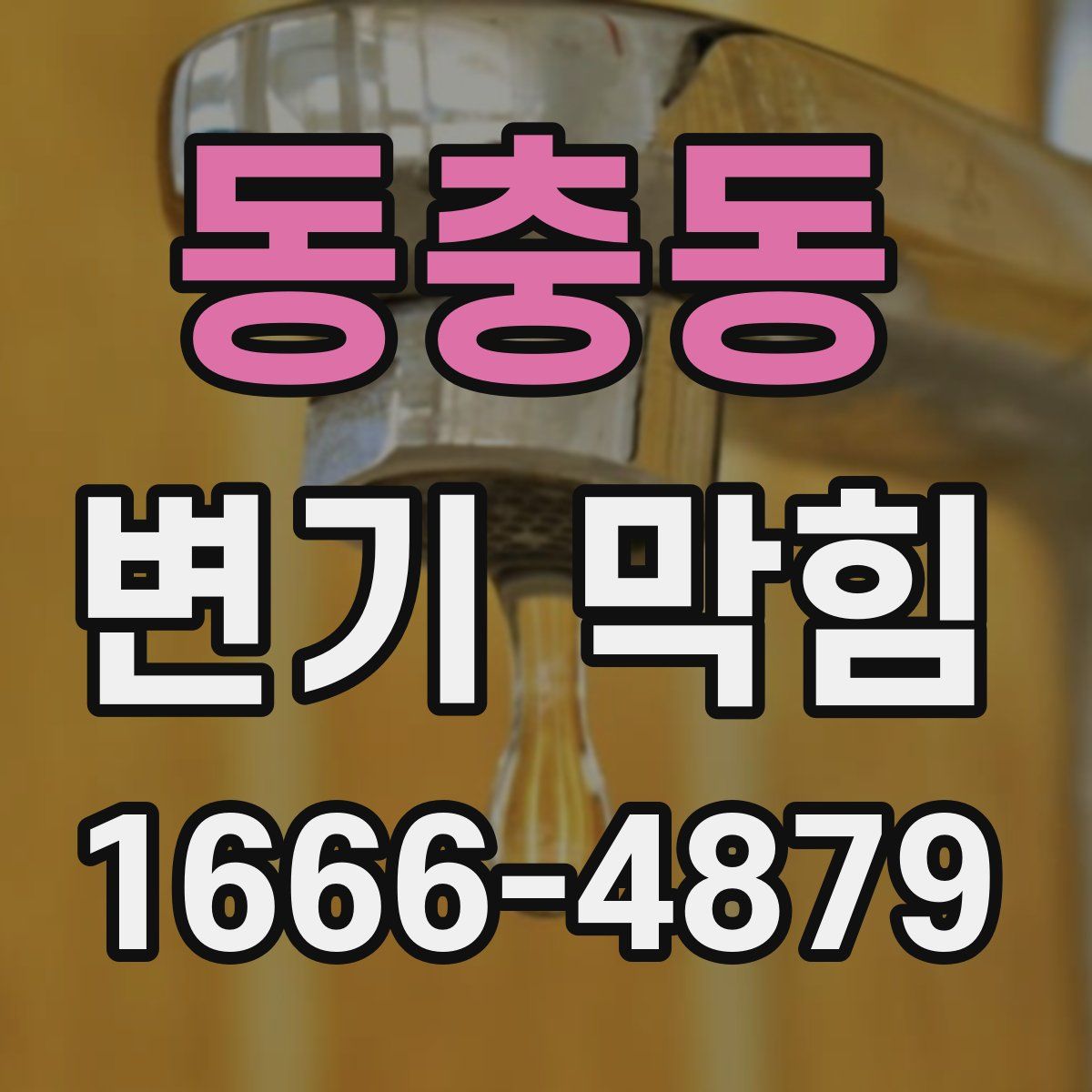 동충동 변기 막힘