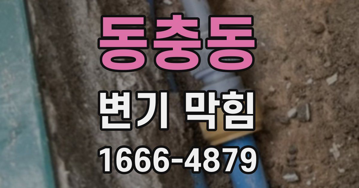 동충동 변기 막힘