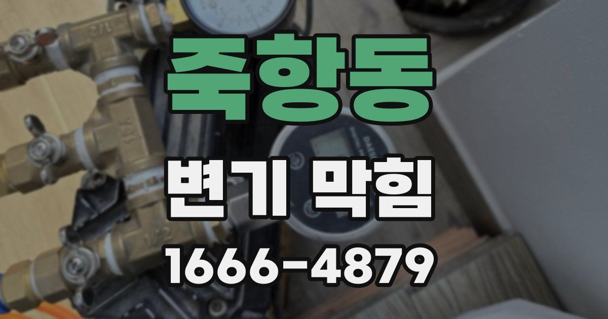 죽항동 변기 막힘