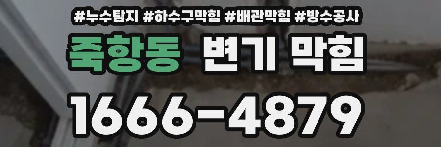 죽항동 변기 막힘