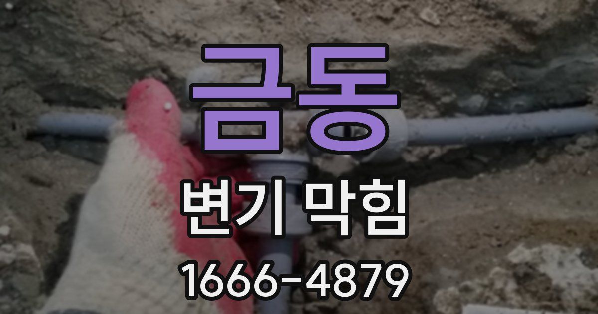 금동 변기 막힘