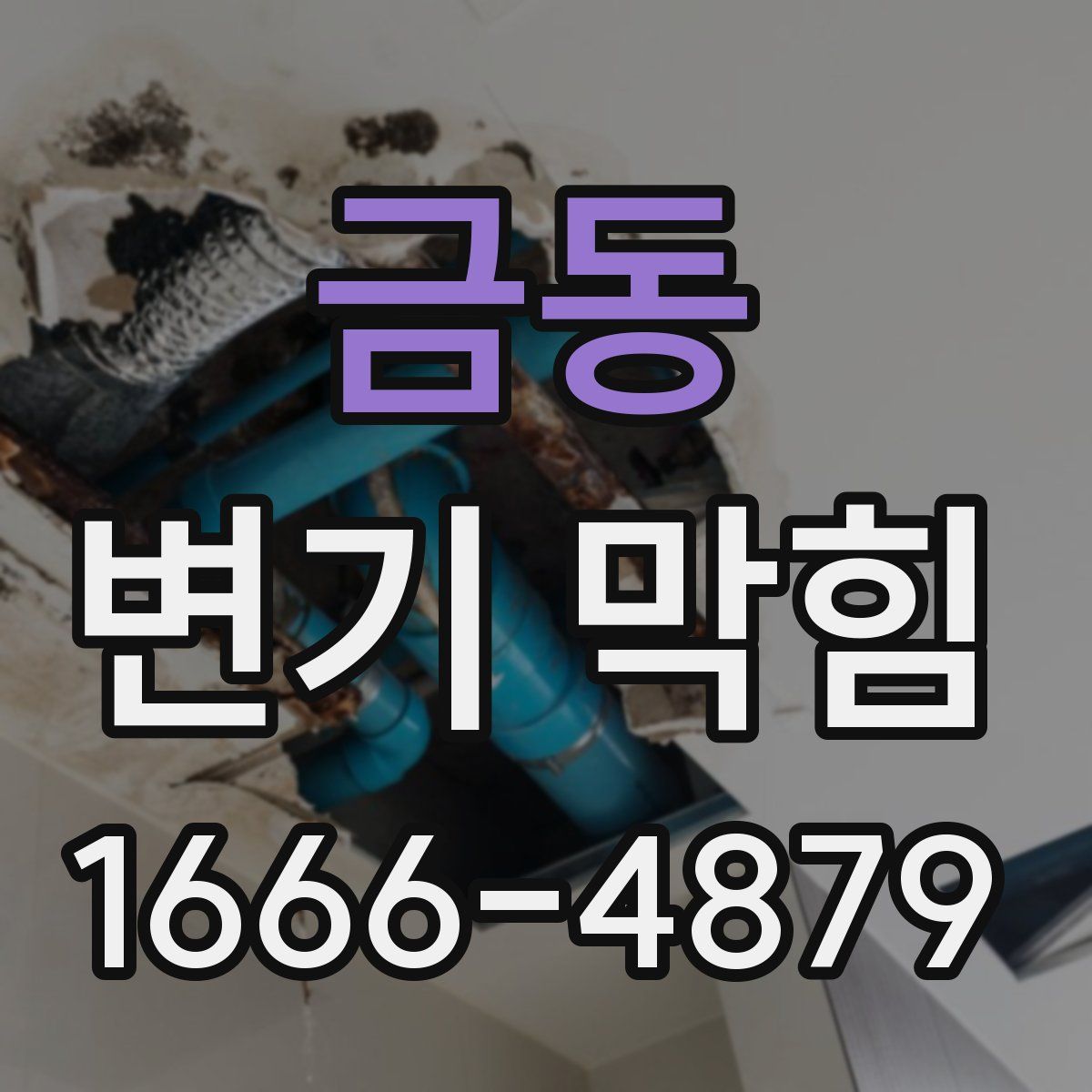 금동 변기 막힘