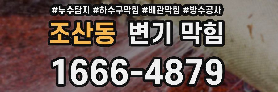 조산동 변기 막힘