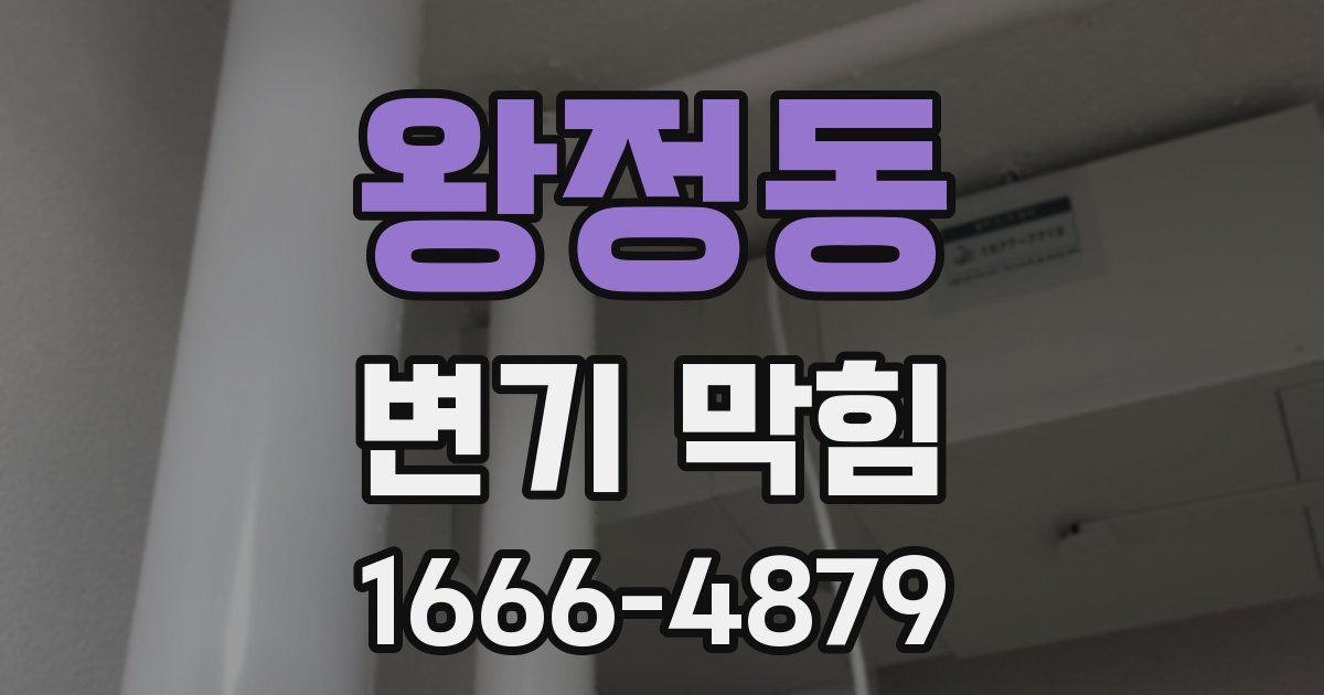 왕정동 변기 막힘