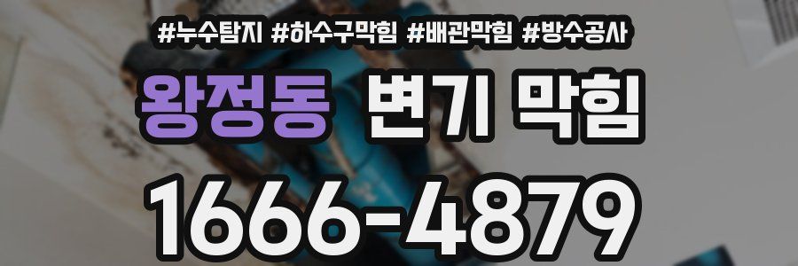 왕정동 변기 막힘