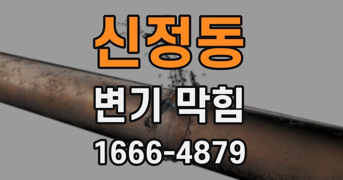 신정동 변기 막힘