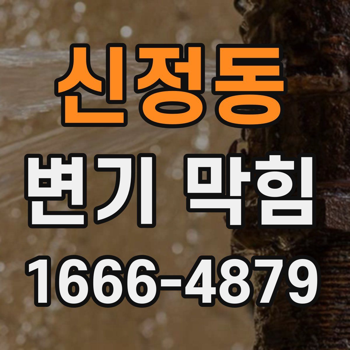 신정동 변기 막힘