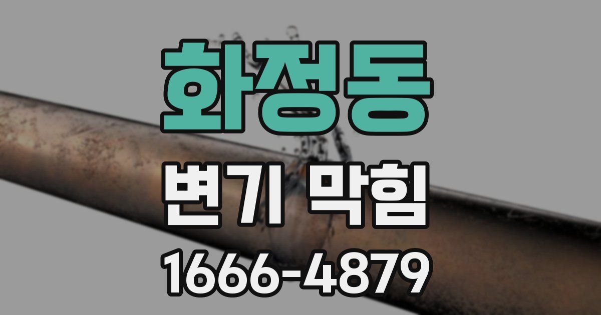 화정동 변기 막힘