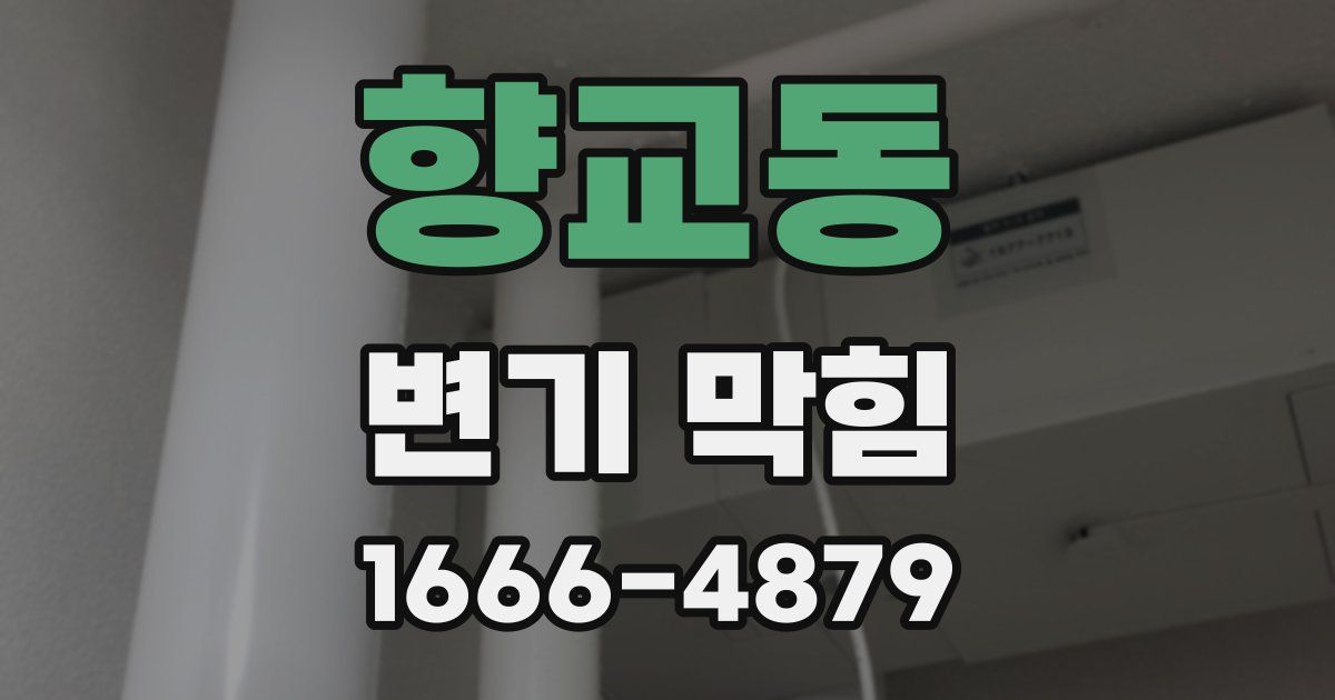 향교동 변기 막힘
