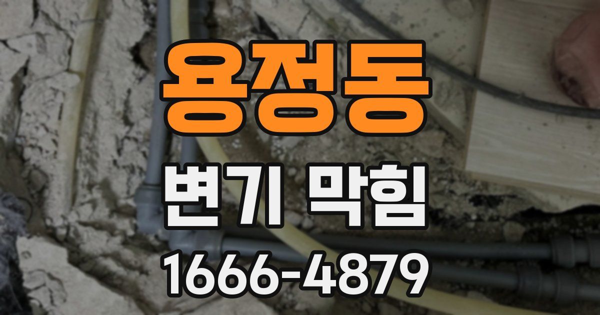용정동 변기 막힘