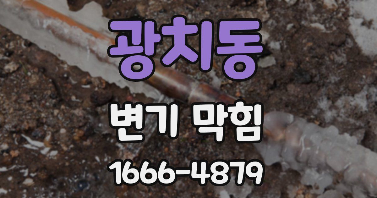 광치동 변기 막힘