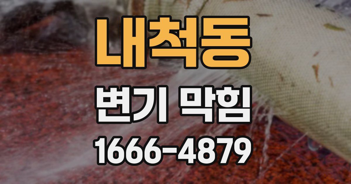내척동 변기 막힘