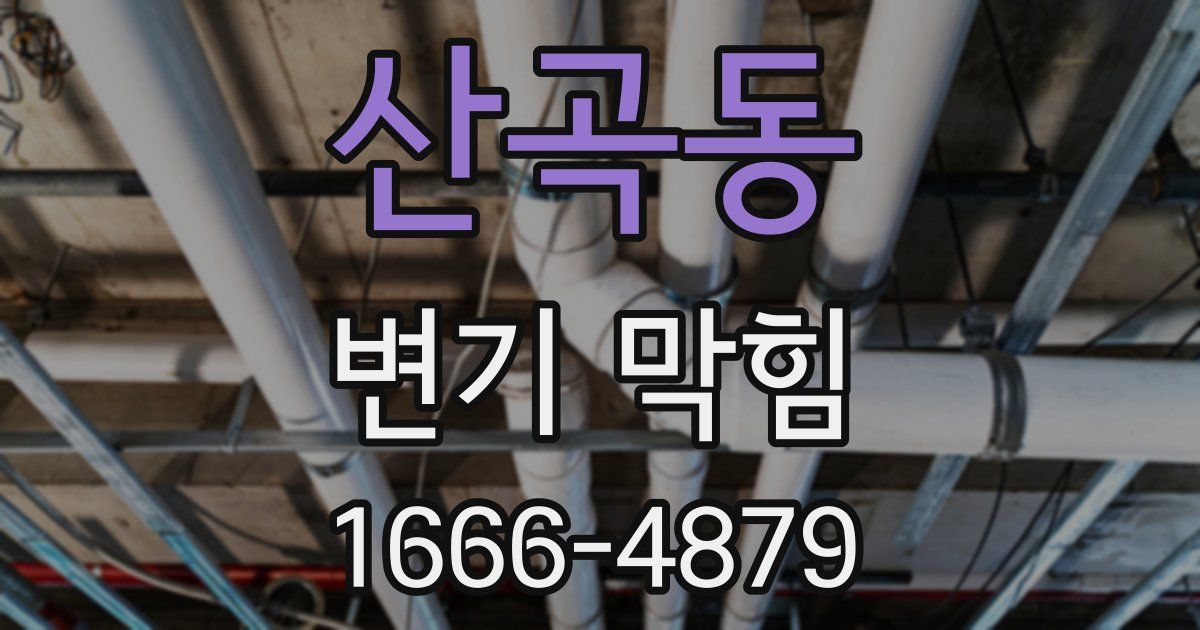 산곡동 변기 막힘