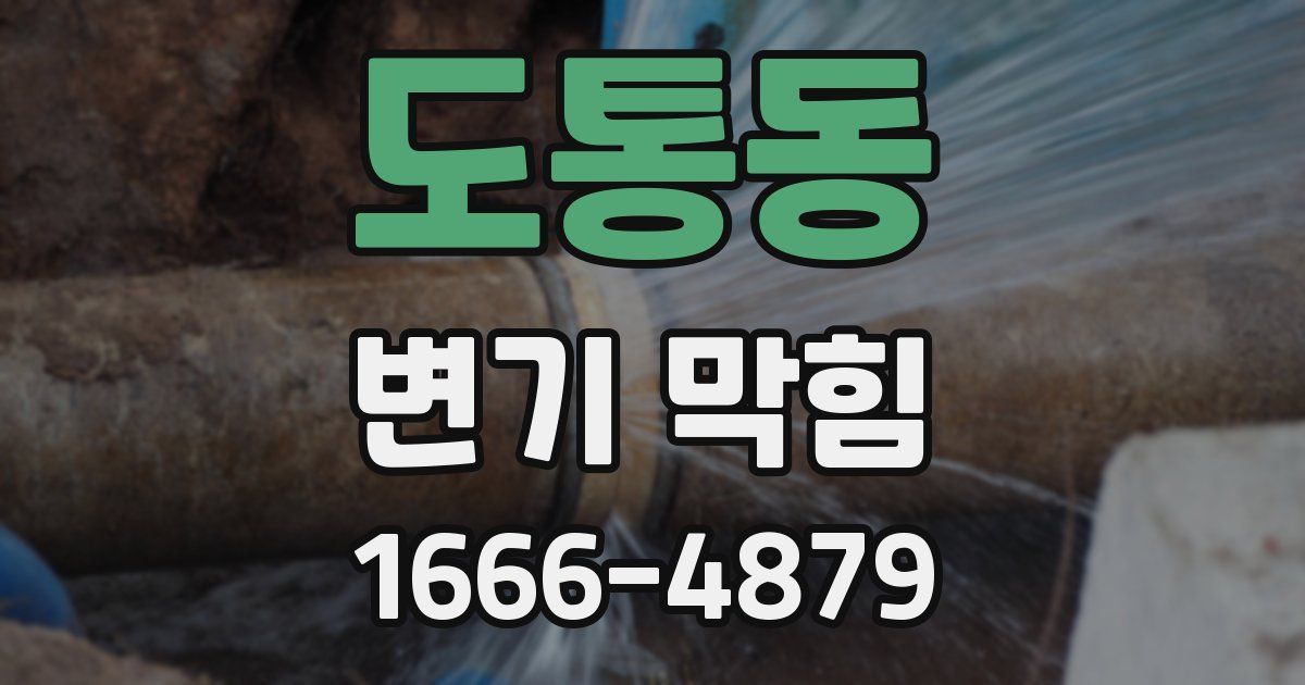 도통동 변기 막힘