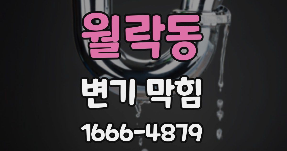 월락동 변기 막힘