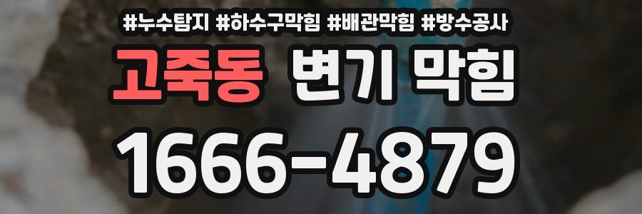 고죽동 변기 막힘