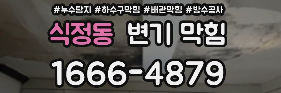 식정동 변기 막힘