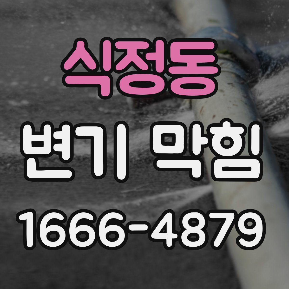 식정동 변기 막힘