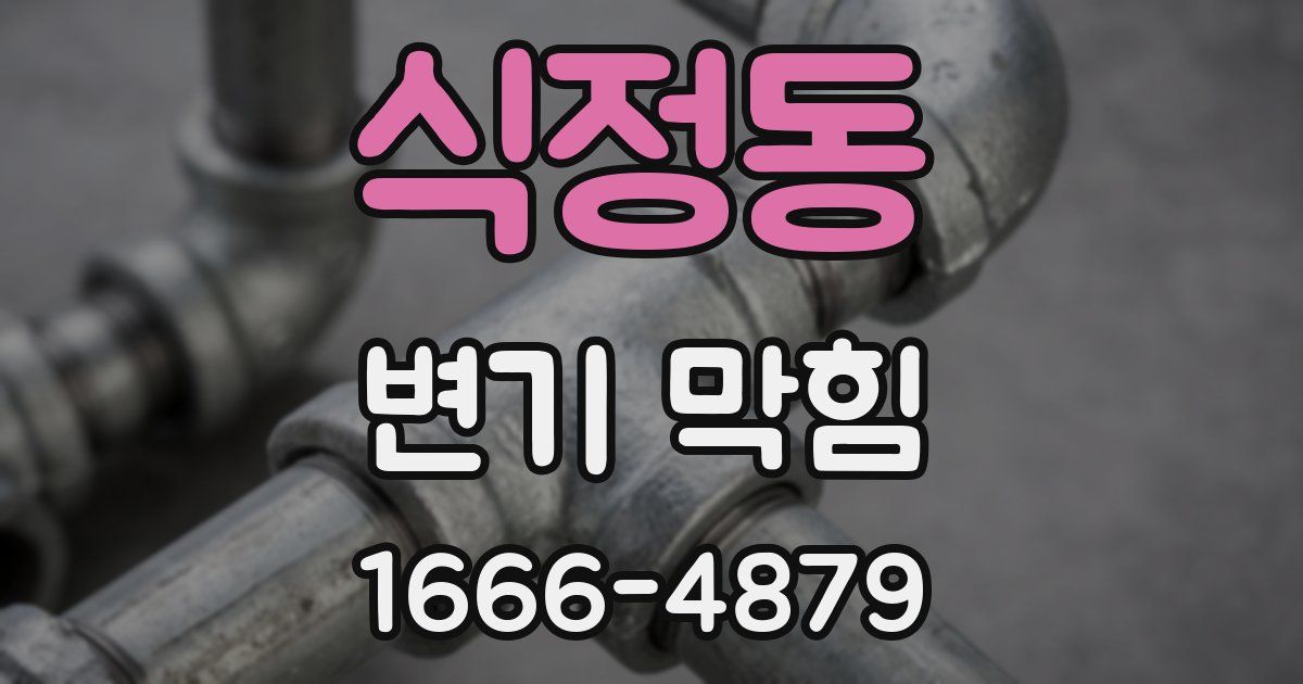 식정동 변기 막힘