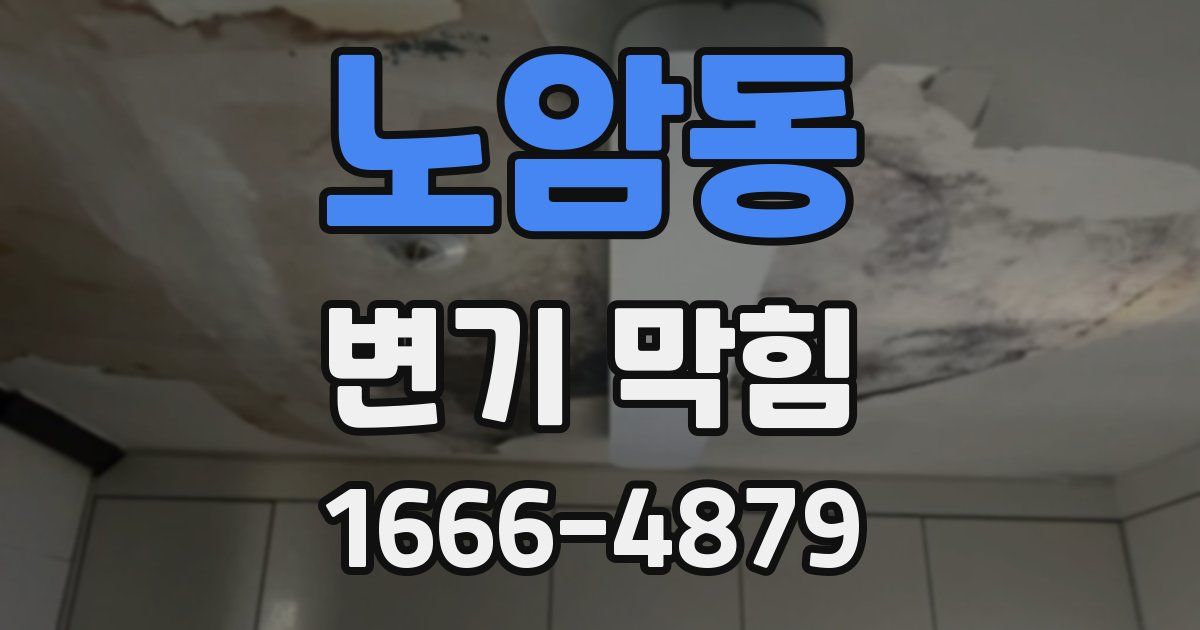 노암동 변기 막힘