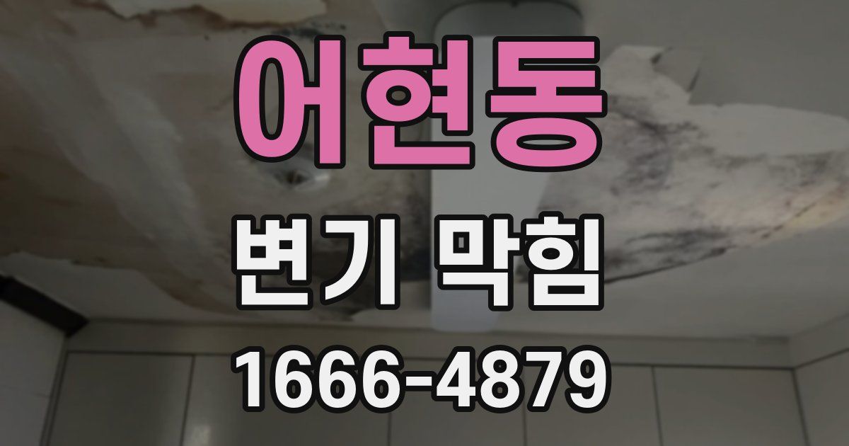 어현동 변기 막힘