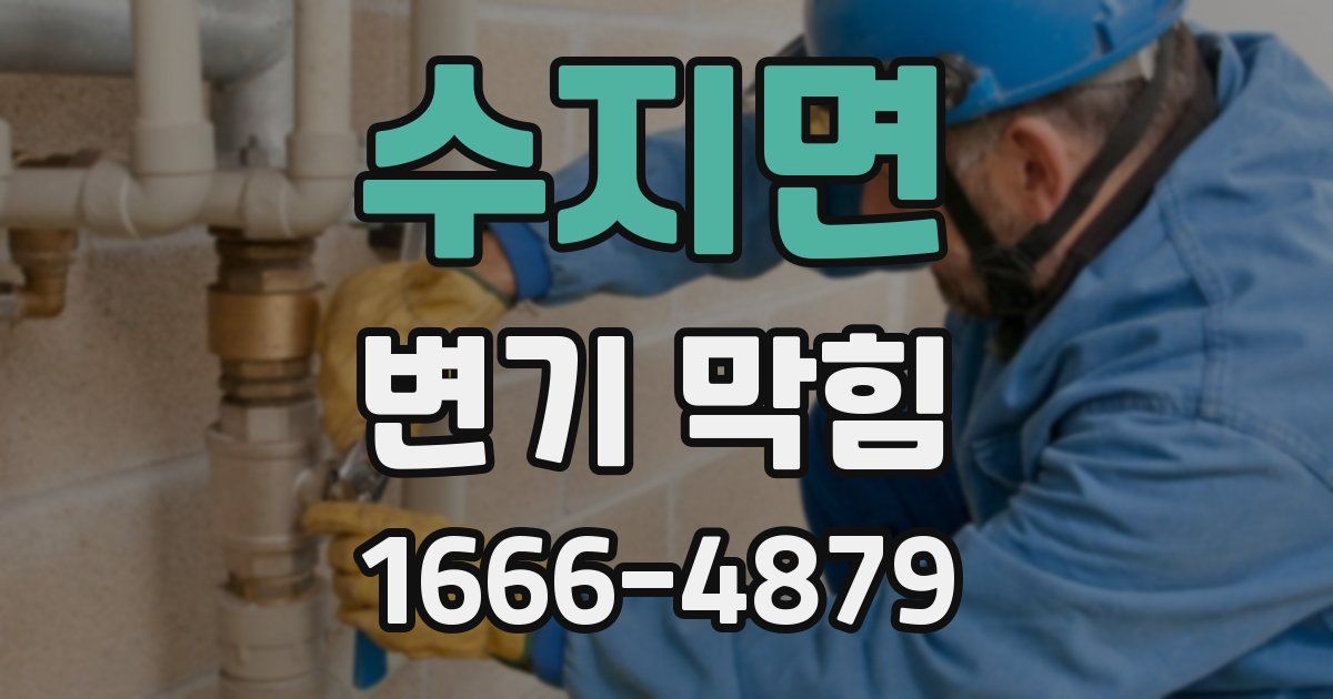 수지면 변기 막힘
