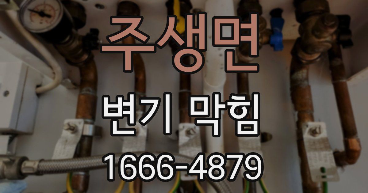 주생면 변기 막힘