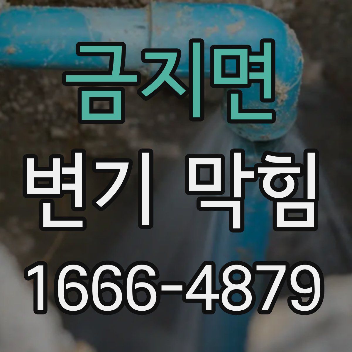 금지면 변기 막힘