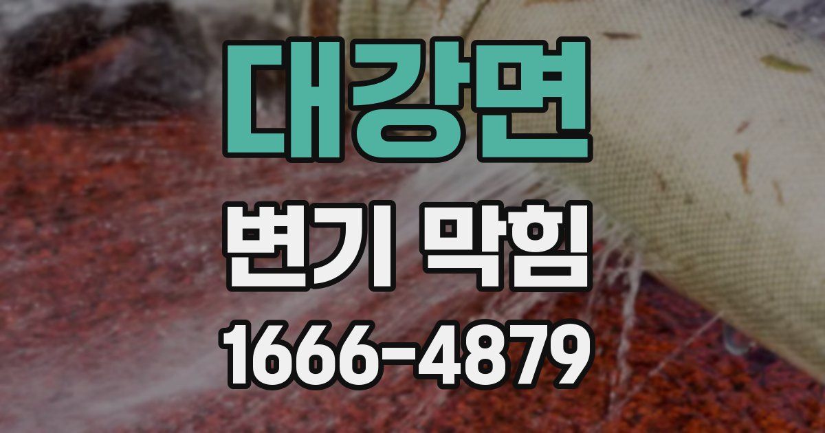 대강면 변기 막힘