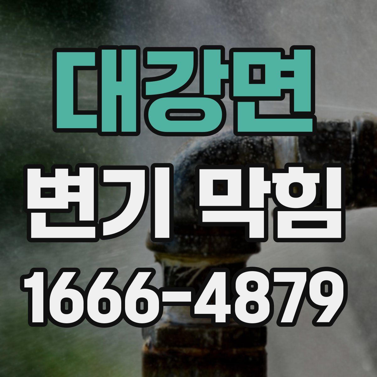 대강면 변기 막힘