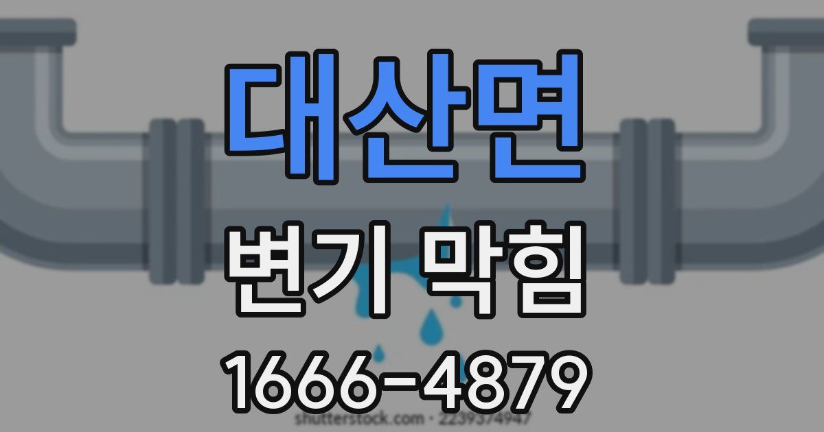 대산면 변기 막힘