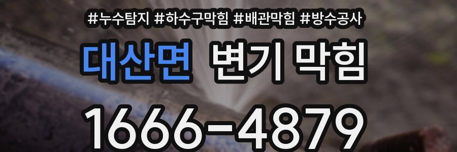 대산면 변기 막힘