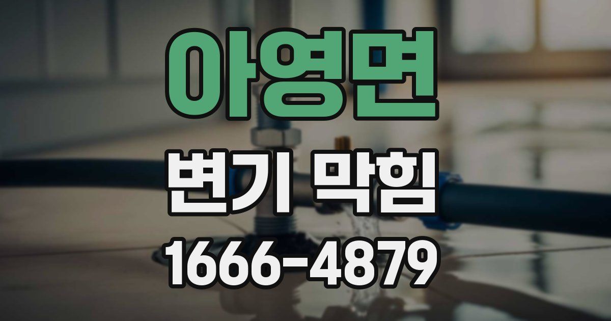 아영면 변기 막힘