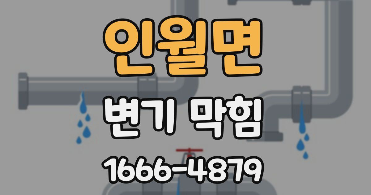 인월면 변기 막힘