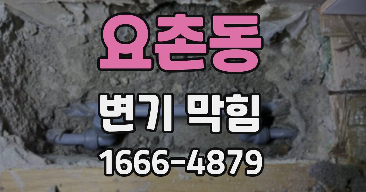 요촌동 변기 막힘