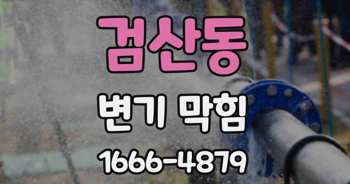 검산동 변기 막힘