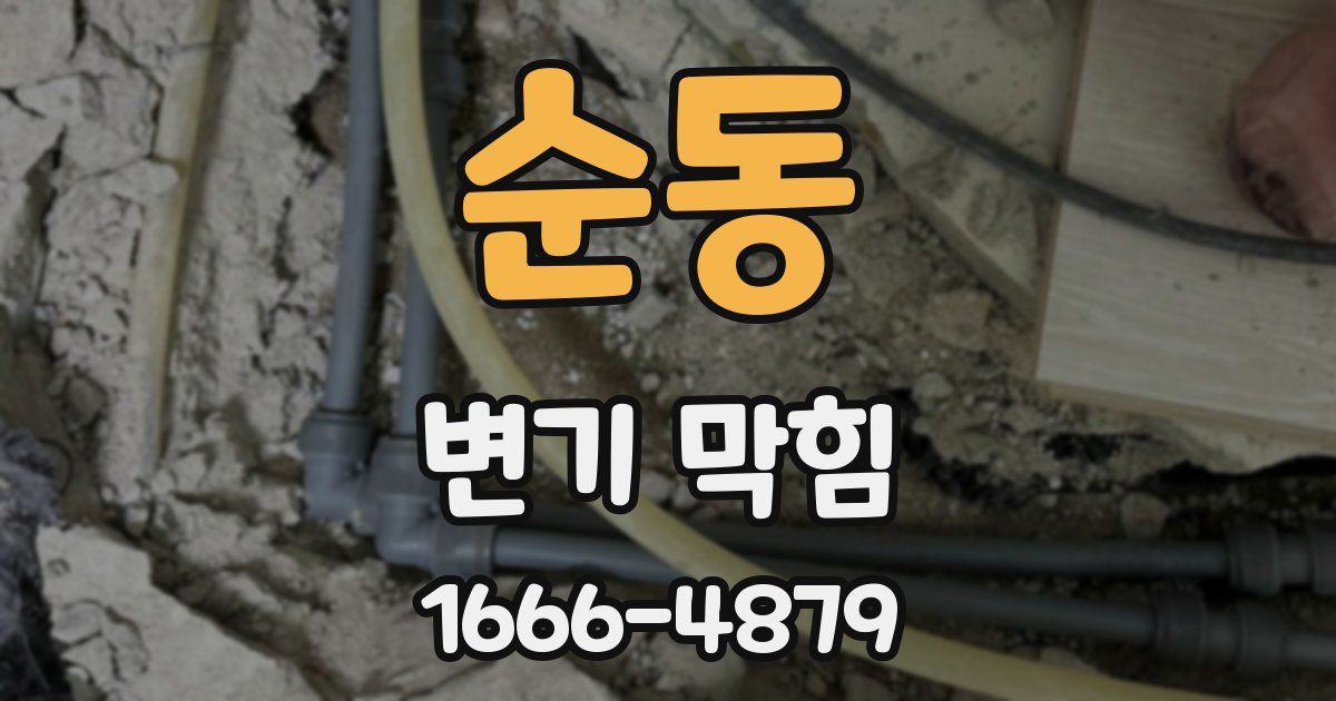 순동 변기 막힘