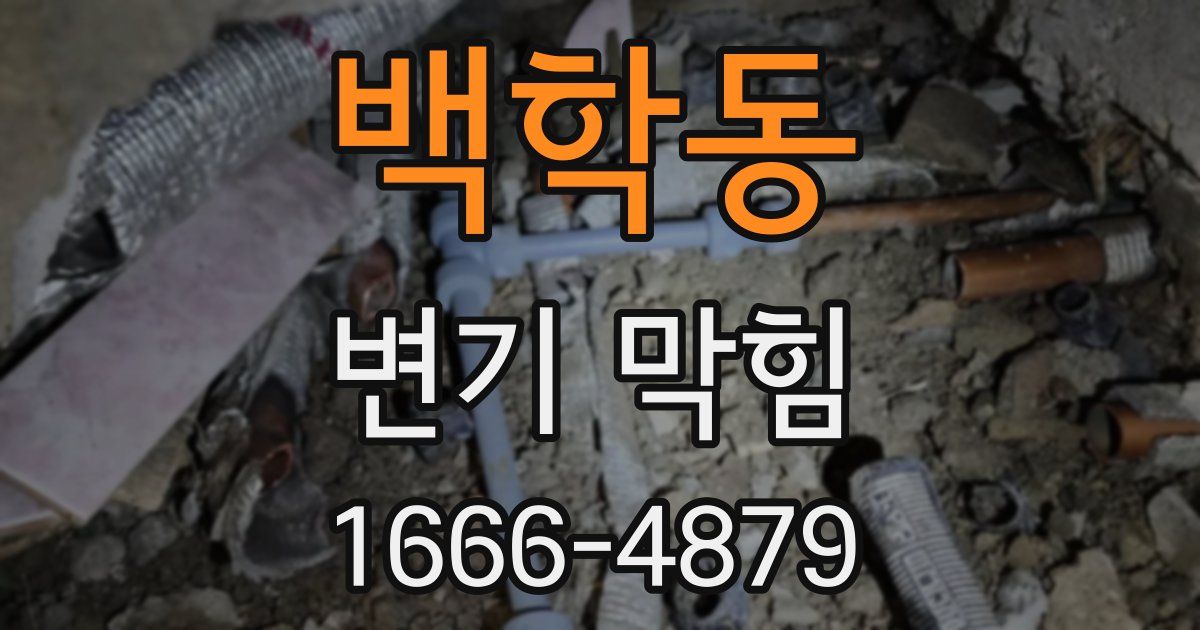 백학동 변기 막힘