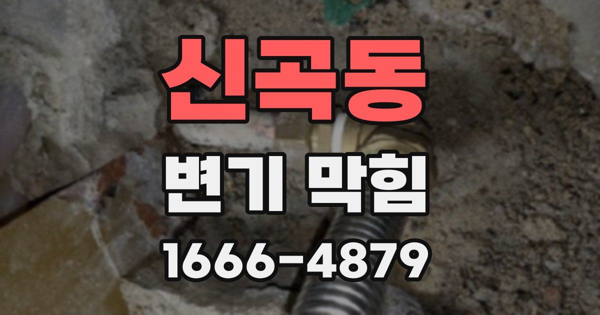 신곡동 변기 막힘