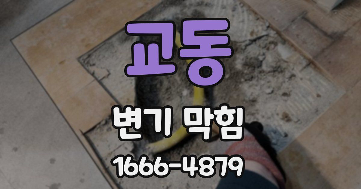 교동 변기 막힘