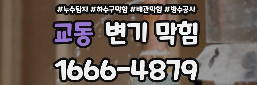 교동 변기 막힘