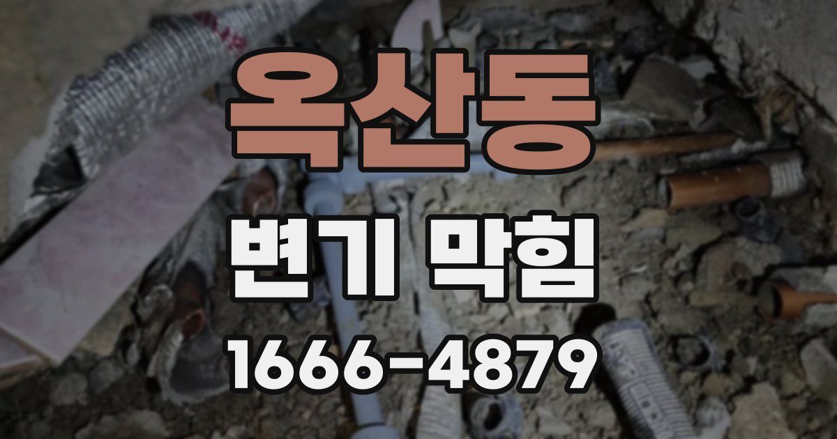 옥산동 변기 막힘